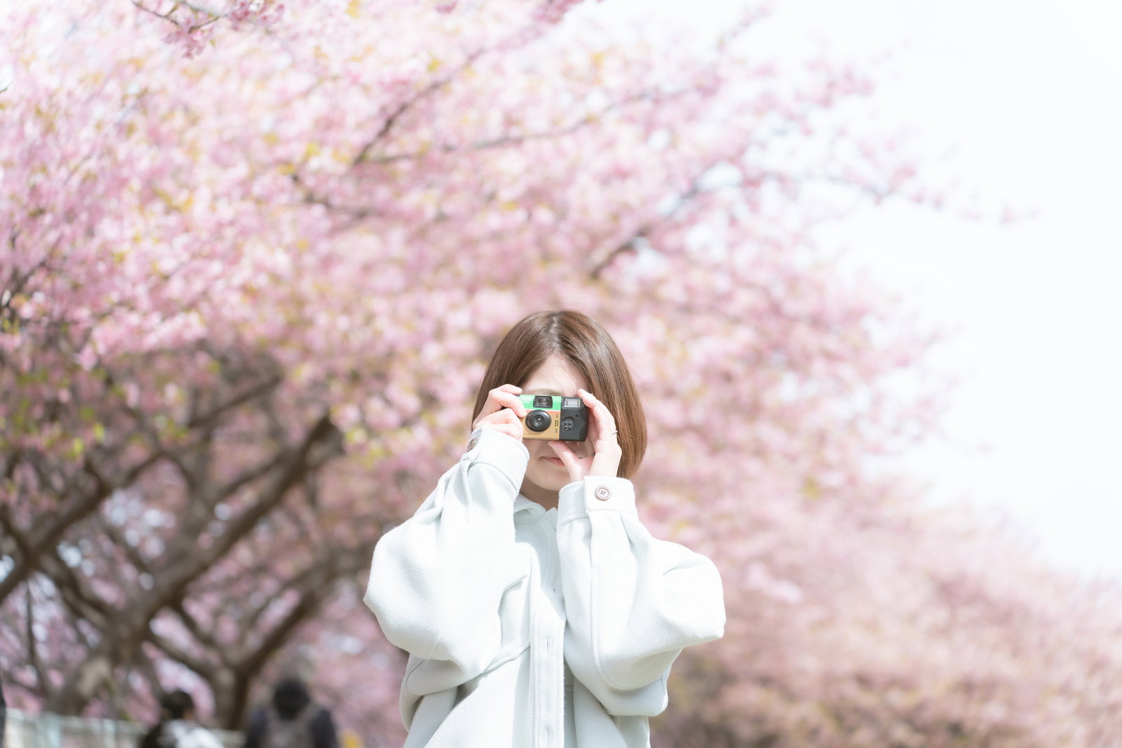 満開の桜の下で写ルンですを構えて撮影する白い服の女性
