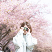 満開の桜の木の下で写ルンですを構える女性の写真