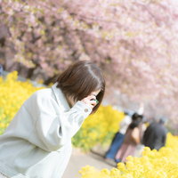 満開の桜と菜の花に囲まれてカメラを向ける女性の写真