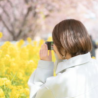 三浦海岸桜まつりで河津桜と菜の花を撮影する女性の写真