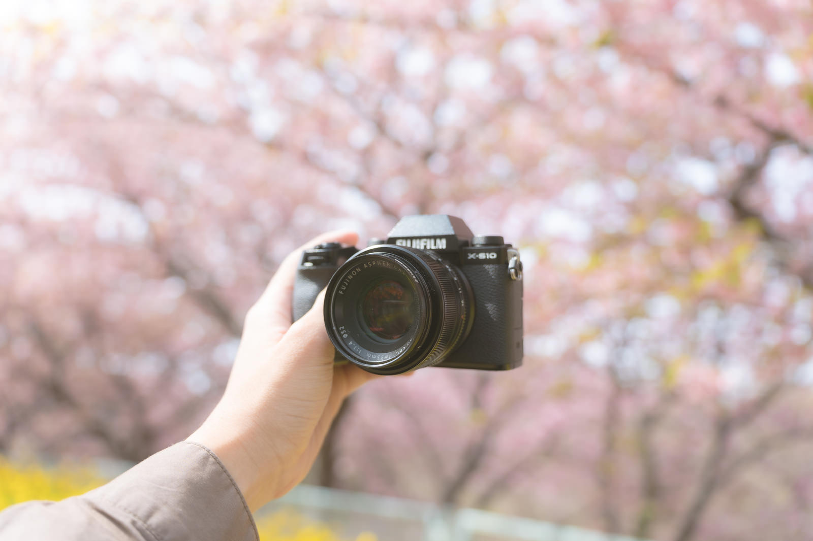 桜の前でカメラを持ち自撮りする女性