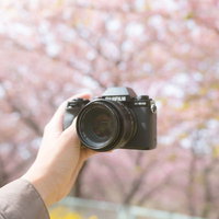 お花見中に桜を背景に自撮りするカメラ女子の写真
