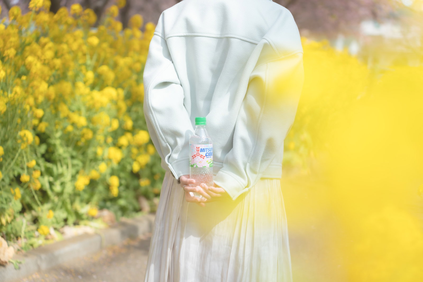 菜の花畑の道を白いワンピース姿でサイダーを持って歩く女性の後ろ姿