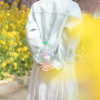 菜の花道をサイダー持って歩く女性の後ろ姿の写真