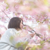白い春着で桜の花を嗅ぐ女性の写真