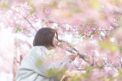 白い春着で桜の花を嗅ぐ女性