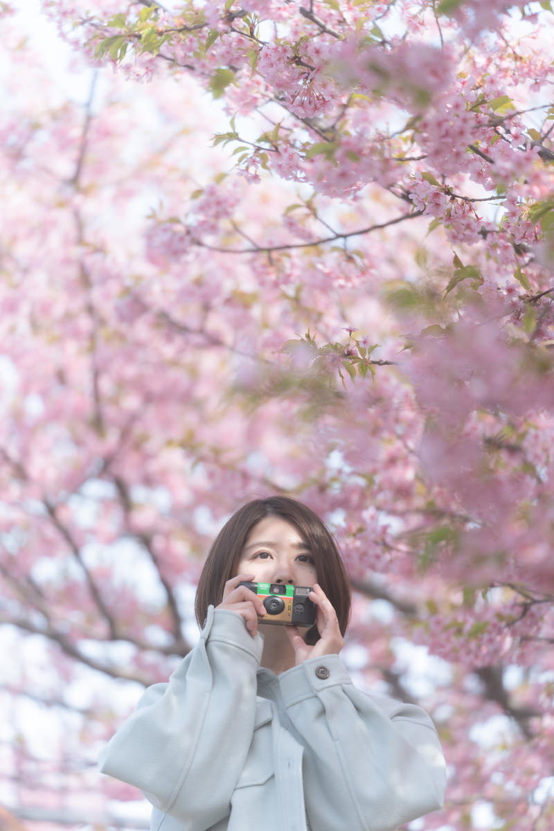 満開の桜の木の下でカメラを構える女性の写真