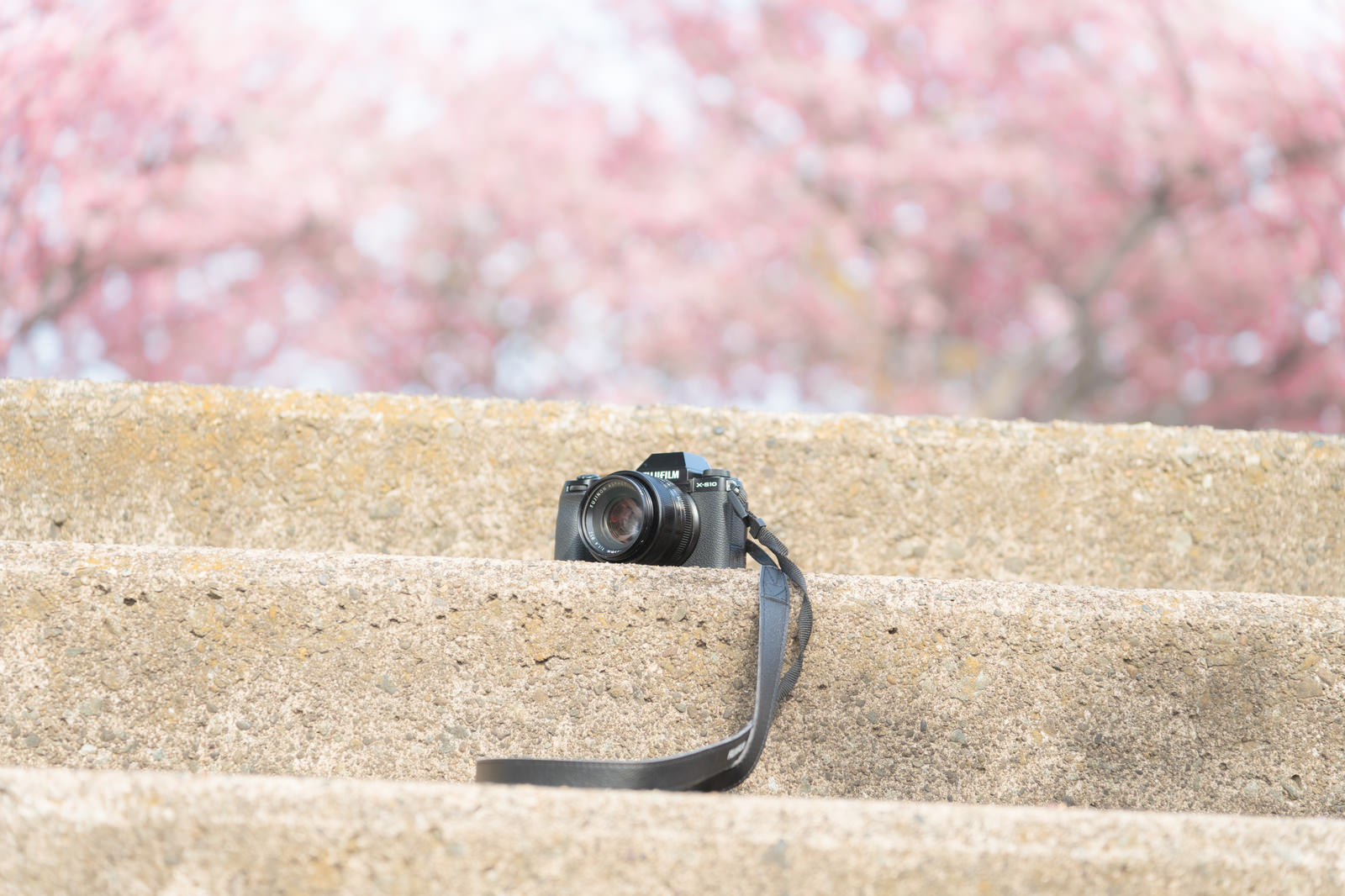 コンクリートの階段に置かれたフジフィルムの一眼レフカメラ、背景に満開の桜