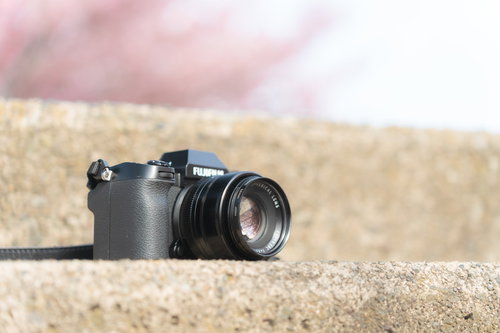 段差に置かれたレンズの表面に映り込む桜