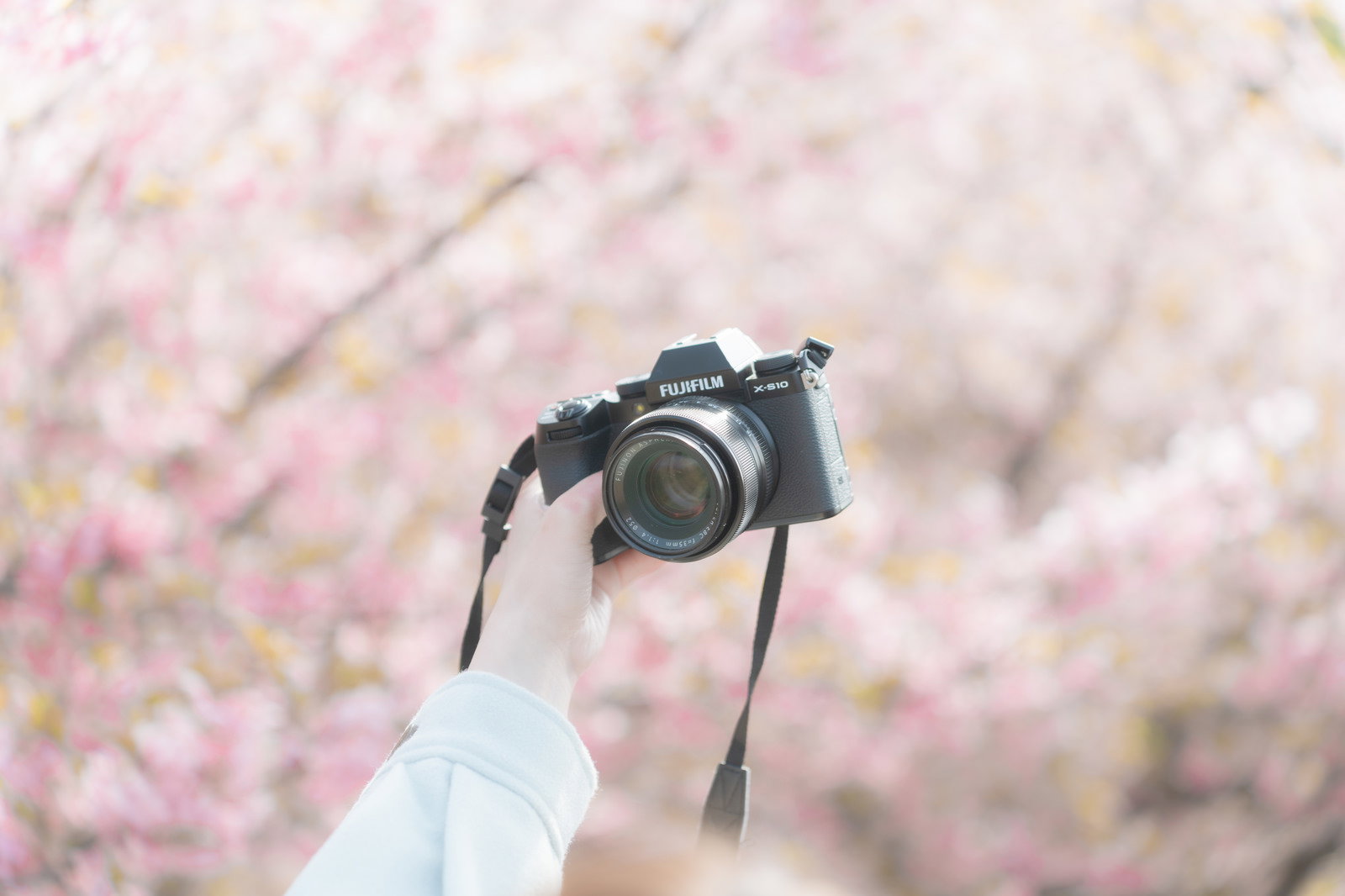 満開の桜並木の前で一眼レフカメラを持って自撮りをしている様子