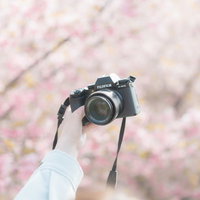 満開の桜並木の前で一眼カメラを持って自撮りする女性の写真