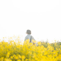 菜の花畑を歩く女性（春・屋外）の写真