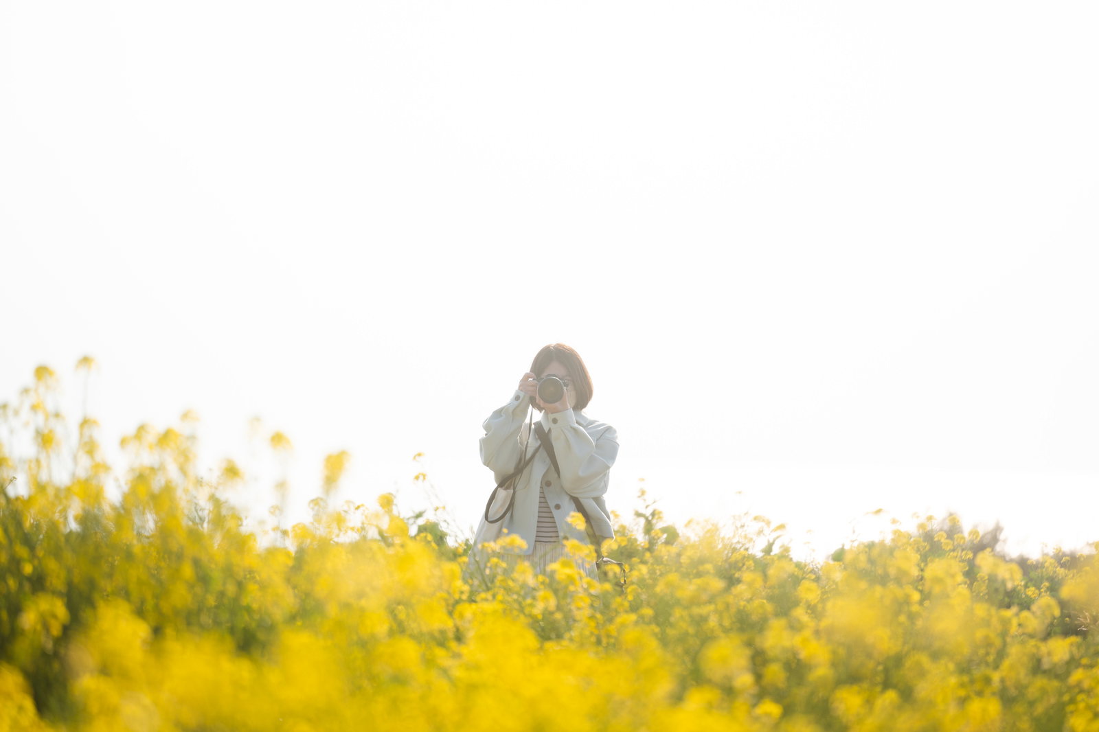 菜の花畑でカメラを構える女性の後ろ姿