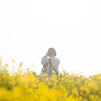 黄色い菜の花畑で写活するカメラ女子の春撮影の写真