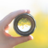 交換レンズ越しに見える黄色い菜の花とカメラ機材の写真