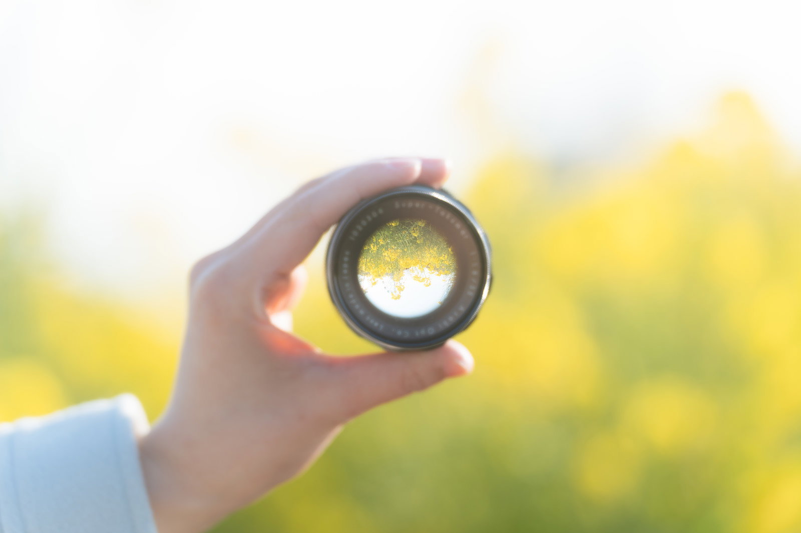 手に持ったカメラレンズ越しに黄色い菜の花畑を見ている様子