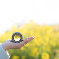 手のひらに乗せた円形の交換レンズと菜の花畑の写真