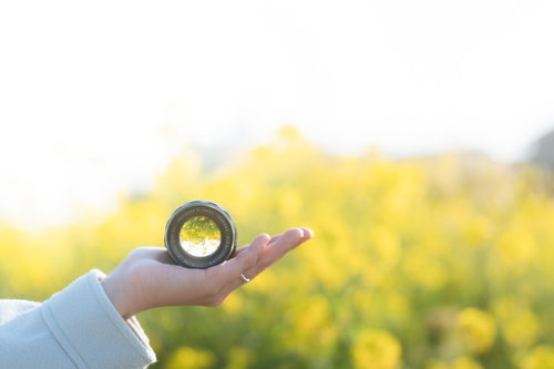 手のひらに乗せた円形の交換レンズと菜の花畑