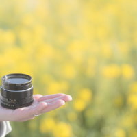 手の平に乗せた交換レンズと春の菜の花の写真