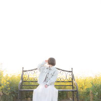 菜の花畑のベンチに座る彼女の後ろ姿と春の風景の写真