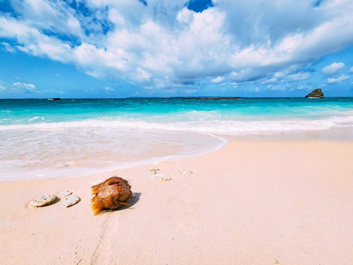 宮古島の砂浜に転がるヤシの実と宮古ブルーの海