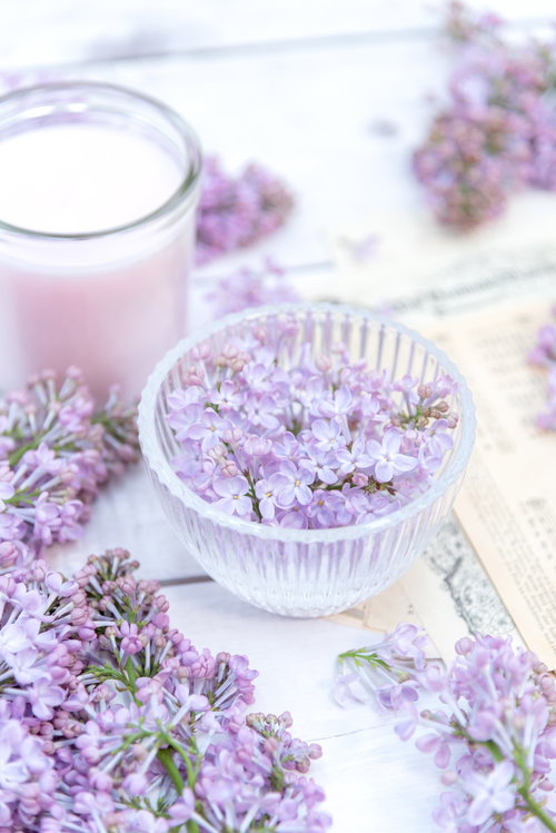 開花したライラックを透明なガラス器に活ける