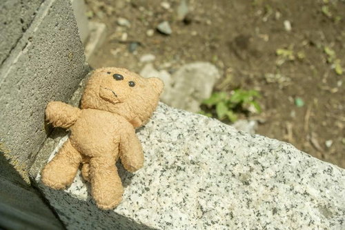 アスファルトに置き去りにされたくまの人形