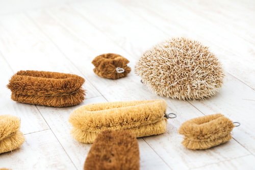 ハリネズミとたわしを並べた楽しいトリック写真「ハリネズミを探せ」