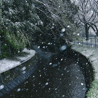 用水路に降り注ぐ白い雪と冬の寒冷地風景の写真