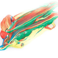 赤と緑と黄色の絵の具を混ぜるペンキと塗料の写真