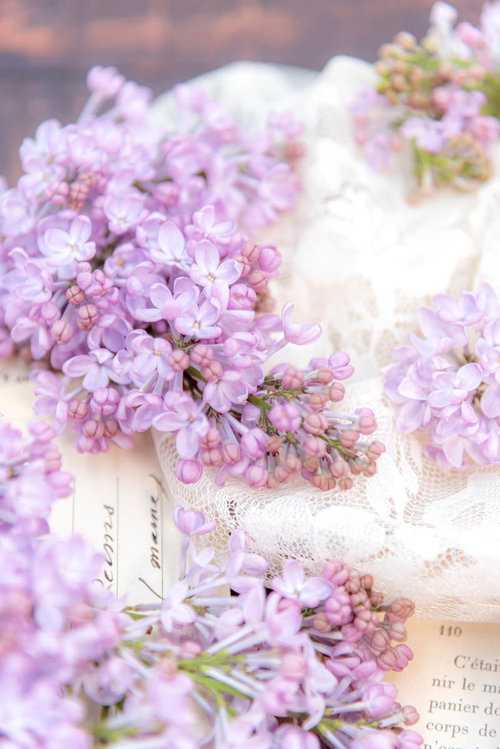 白いレースの上に置かれた淡い紫色のライラック