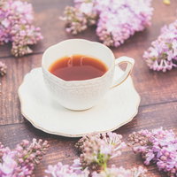 白いティーカップから広がるライラックの花の写真