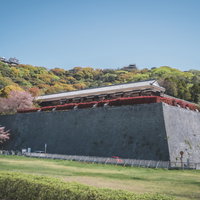 石垣の上に立つ愛媛の櫓と城郭建築群の写真