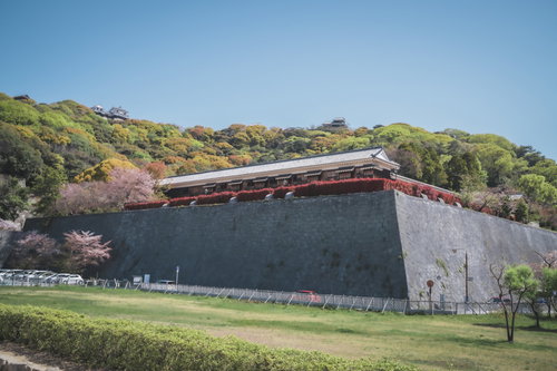 石垣の上に立つ愛媛の櫓と城郭建築群