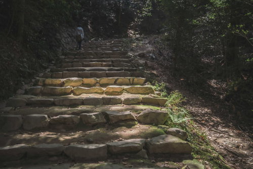 愛媛の石段を上る観光客 緑に囲まれた階段でトレッキング