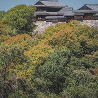 秋色に染まる林に隠れる石垣上の日本家屋と歴史的景観の写真