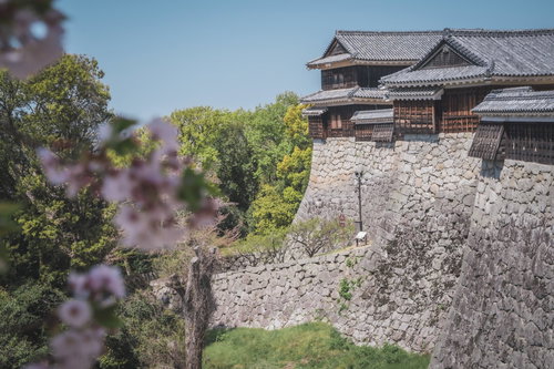 松山城の高い石垣の上に聳える塀と瓦葺き建物
