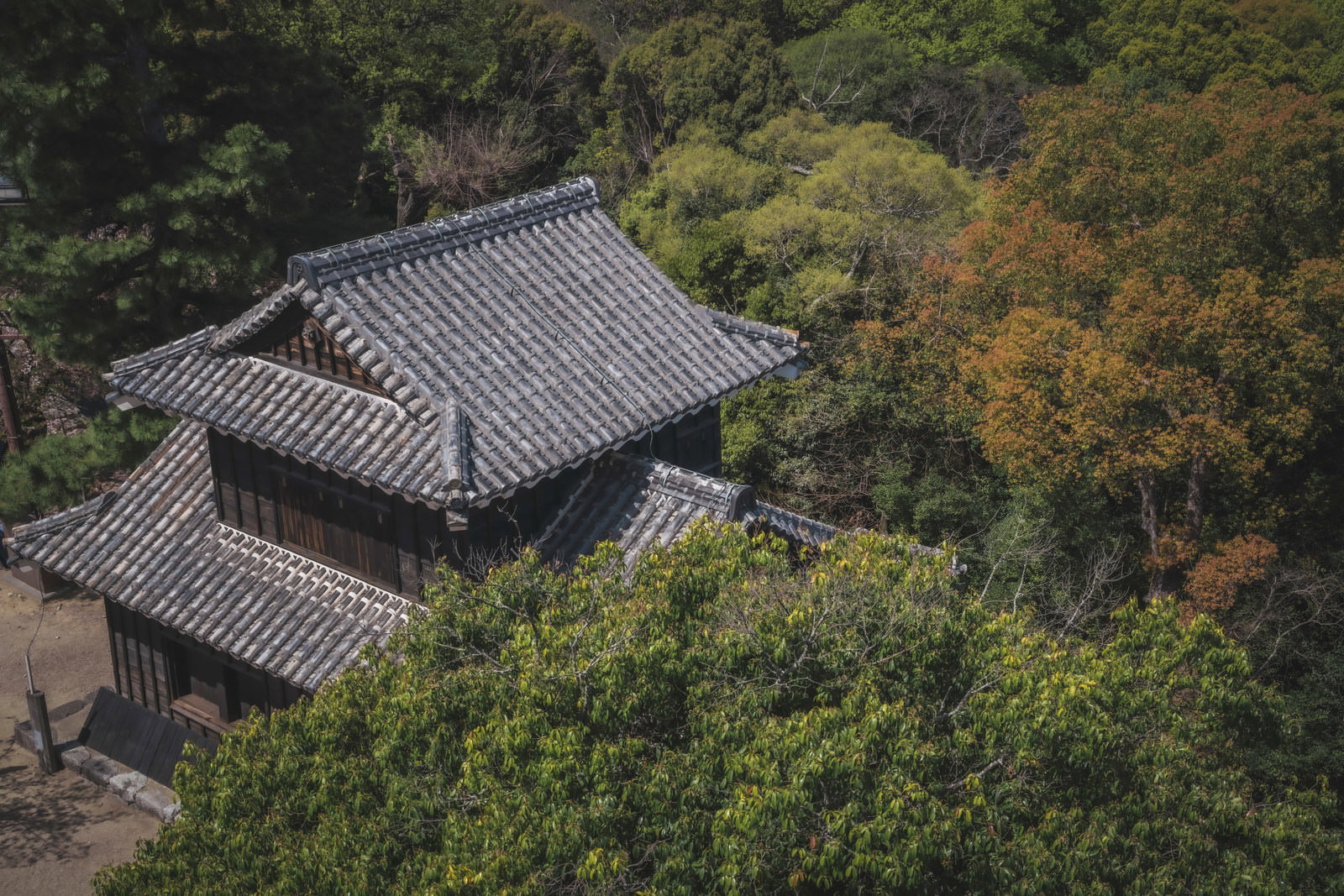 木々に囲まれた古い瓦屋根の城跡建物を上から撮影した写真