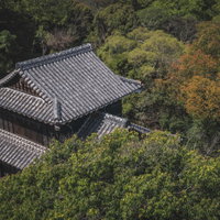 木々に隠れる瓦屋根の城跡建物の写真