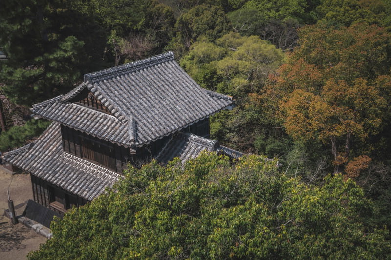 屋根瓦が密集する住宅街の景観 - 日本の伝統的な町並みの写真素材