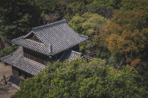 木々に隠れる瓦屋根の城跡建物