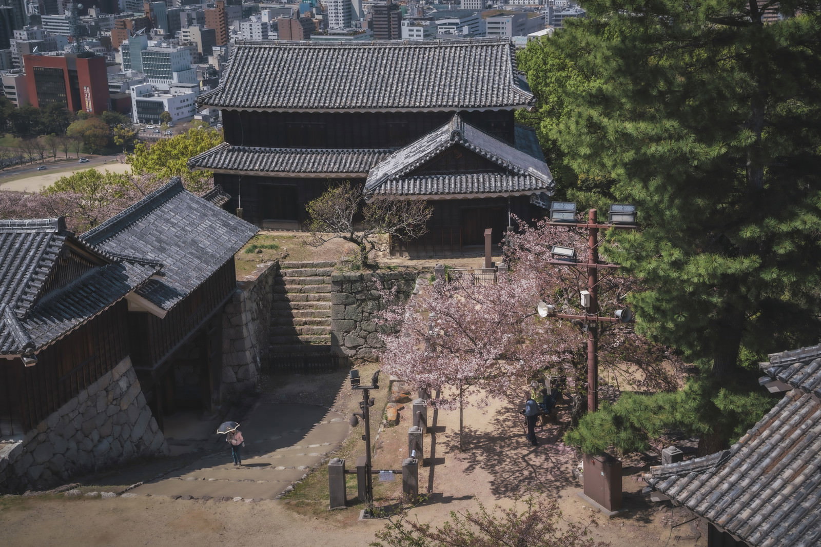 愛媛の城跡で古い建造物に咲き誇るピンク色の桜の風景