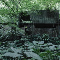 密林に覆われた廃墟の建物の写真