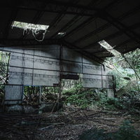 緑に覆われた半壊した無人の建物、崩壊寸前のトタン屋根の写真