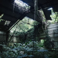 ジャングルに覆われた崩落した屋根と半壊の廃墟の写真