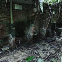 崩れ落ちた壁と蔦に覆われた男子便所の廃墟の写真