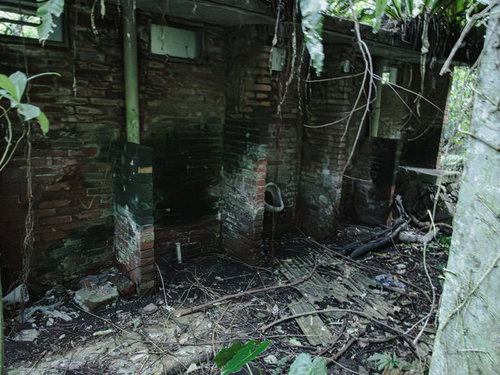 崩れ落ちた壁と蔦に覆われた男子便所の廃墟