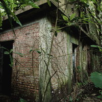 つるが絡みついた古いレンガ建物の廃墟と経年劣化の写真