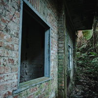 廃墟に残るレンガの壁と暗い窓枠、蔦や苔に覆われた古い建物の写真