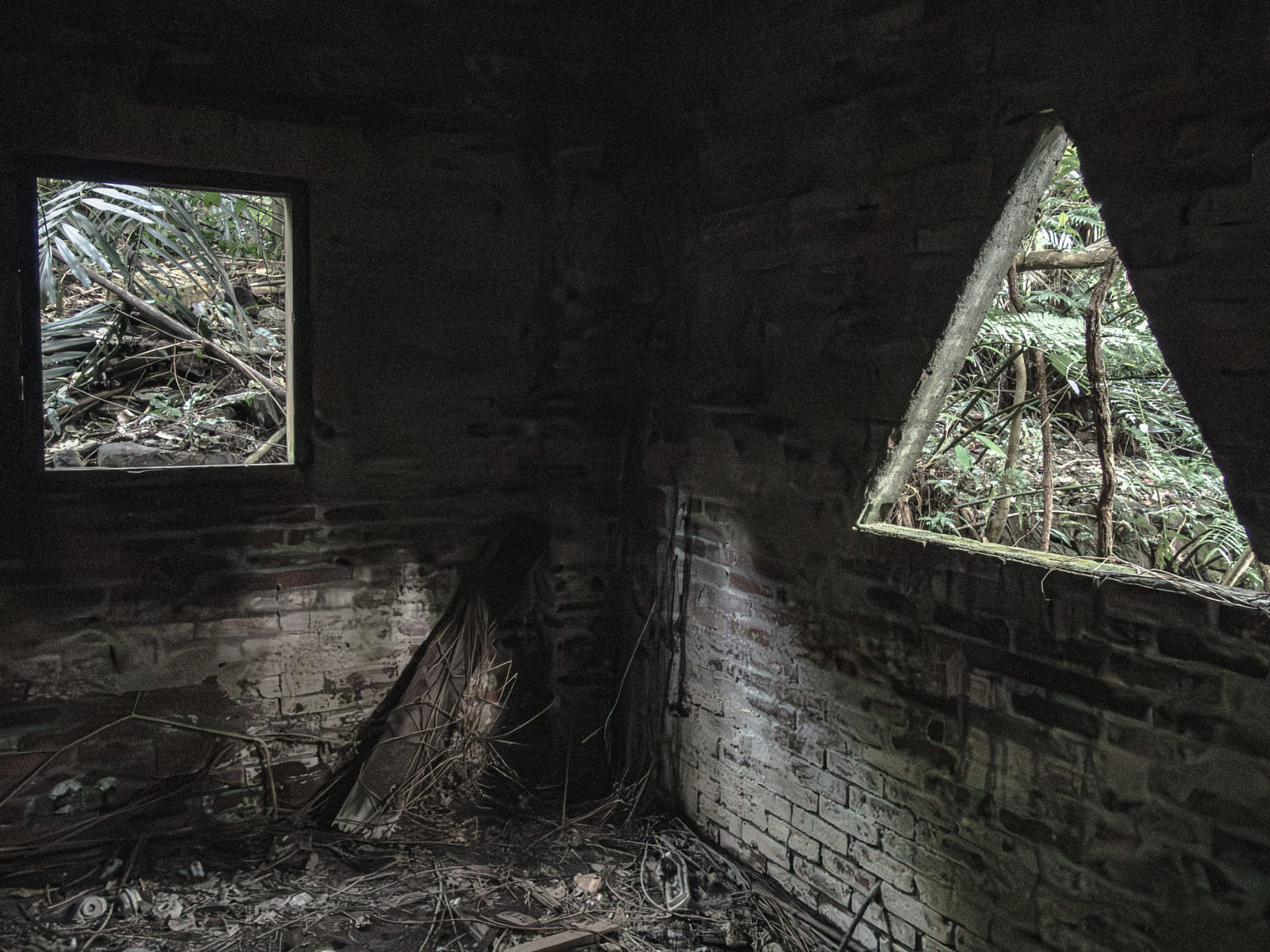 廃屋の室内から三角形と四角形の窓枠越しに外の植生を見た様子
